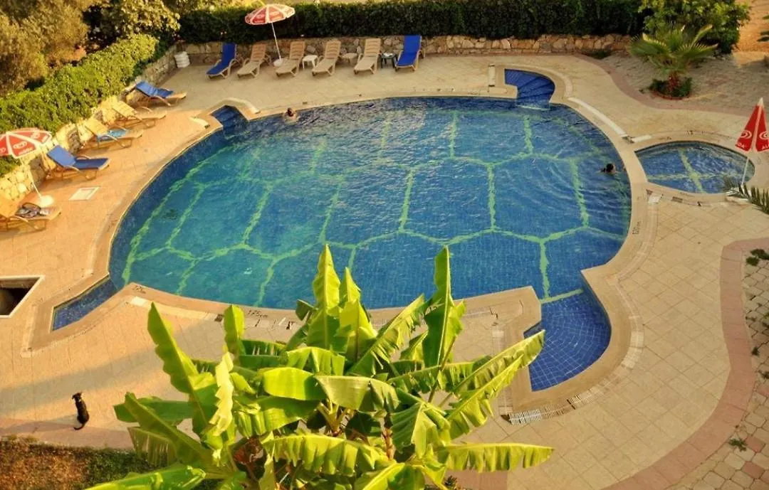 Aparthotel Turtle Apart Fethiye
